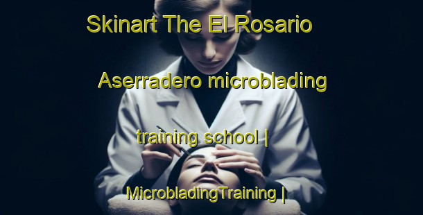 Skinart The El Rosario  Aserradero microblading training school | MicrobladingTraining | MicrobladingClasses | SkinartTraining-Mexico